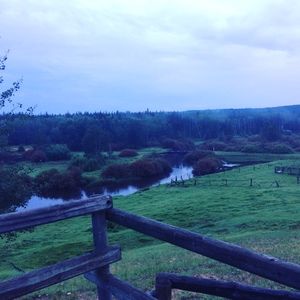 Meet your Posher, Tania